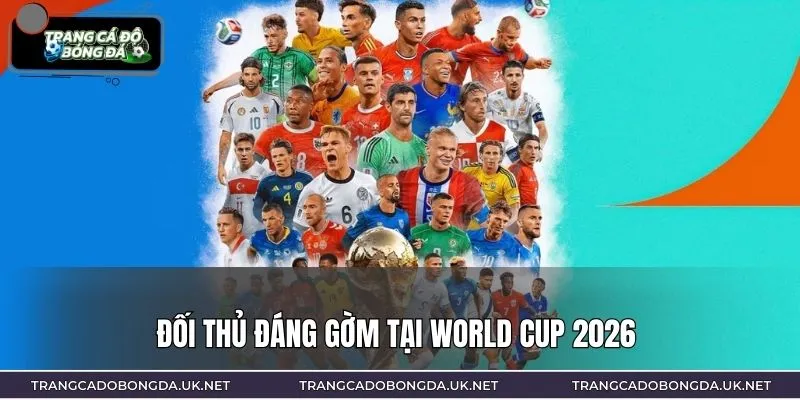 Những thử thách trên hành trình săn cúp