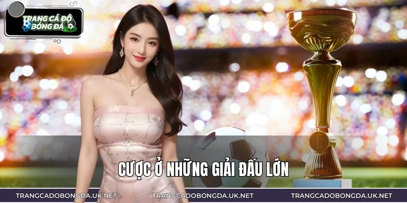 Người chơi nên đặt cược ở những giải đấu lớn trên châu lục