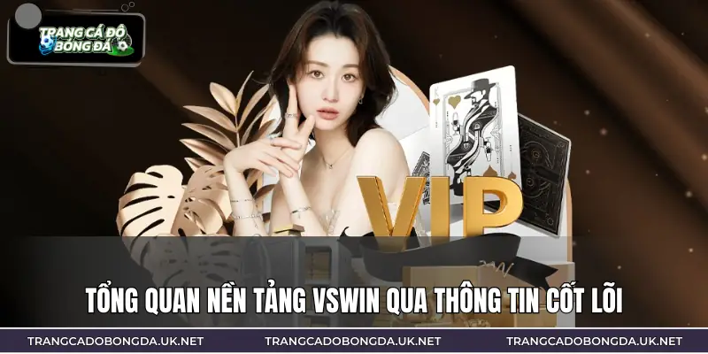 Giới thiệu về nhà cái VSWIN